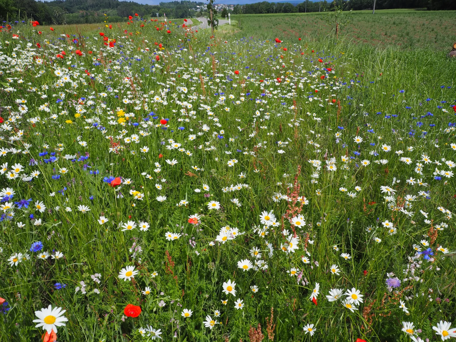 Übernachtung Lottstetten