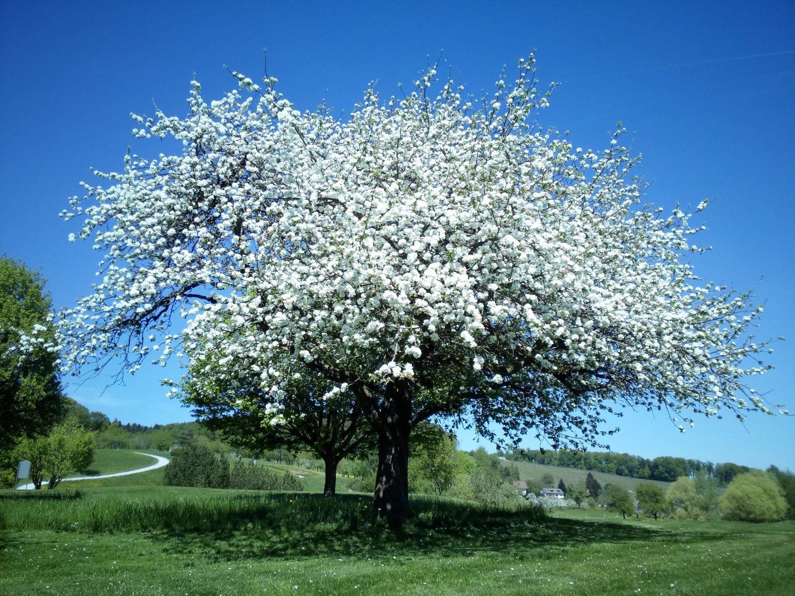 Übernachtung Lottstetten